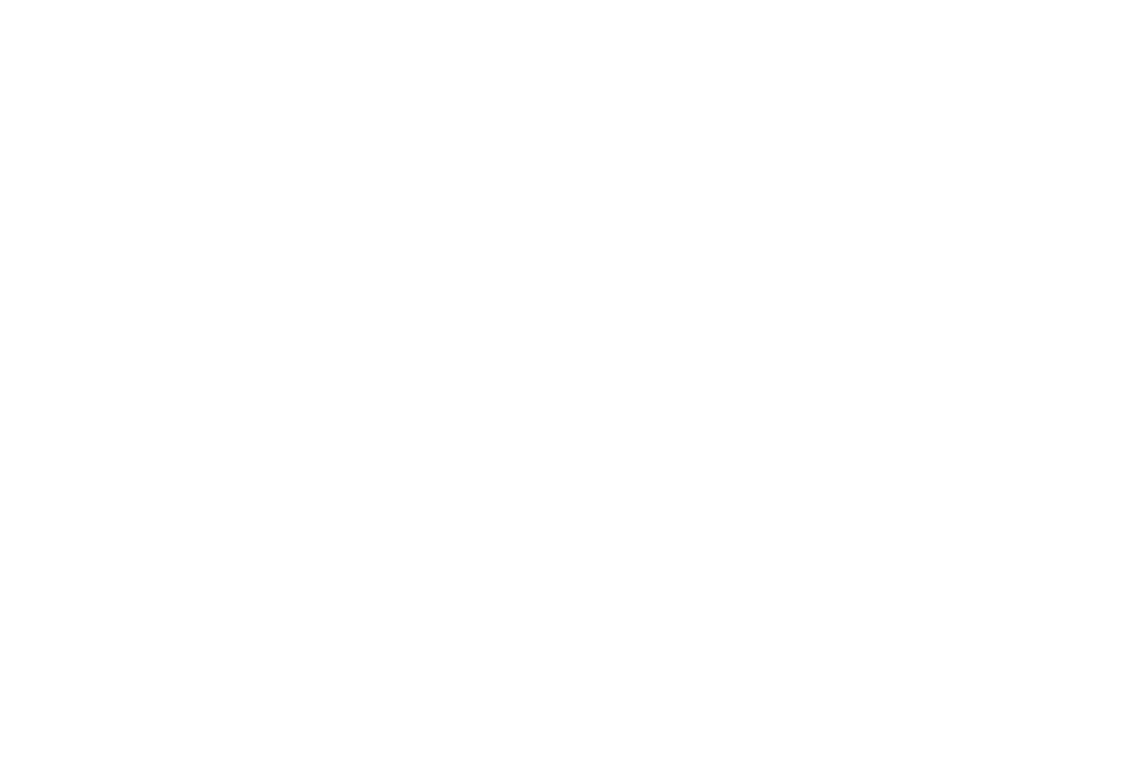 Potenza Global